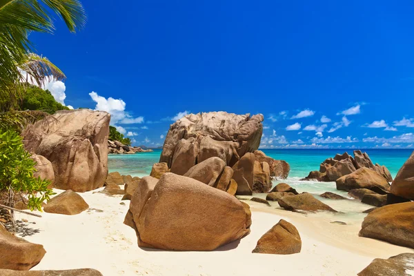 Tropical beach at Seychelles — Stock Photo, Image