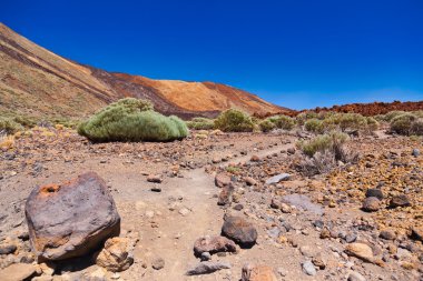 tenerife adasında - Kanarya teide yanardağı