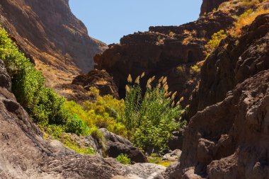 tenerife - Kanarya, ünlü Kanyon masca
