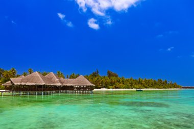 Tropik Maldivler ada Cafe