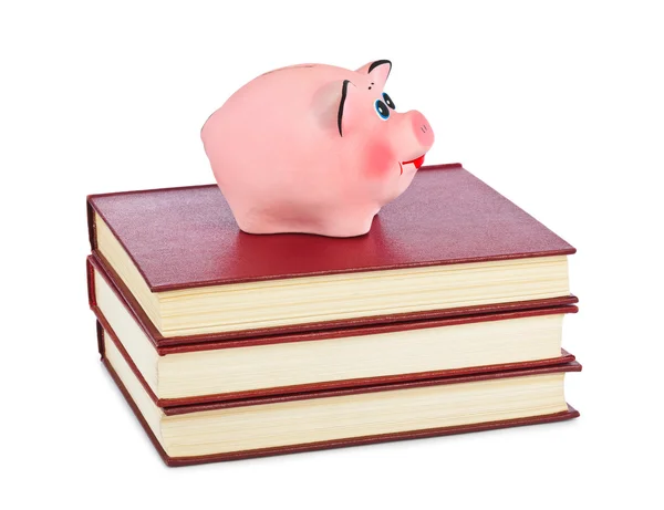 Piggy bank és könyvek — Stock Fotó