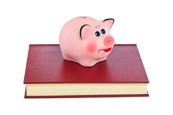 Piggy bank en boeken — Stockfoto