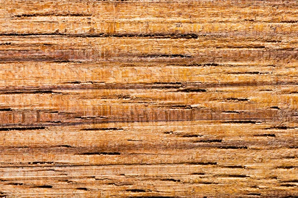 Wood background — Stock Photo, Image