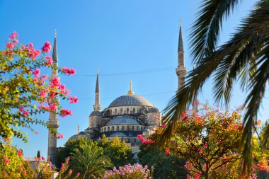 İstanbul 'daki Mavi Cami Türkiye