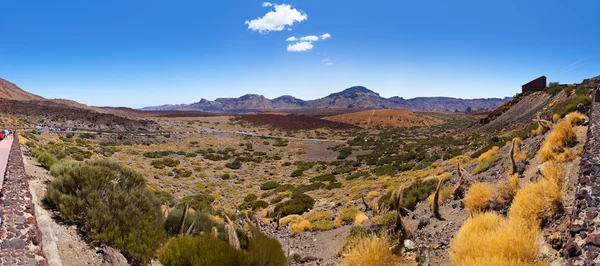 Ηφαίστειο teide, στο νησί της Τενερίφης - καναρίνι — Φωτογραφία Αρχείου