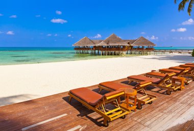 Tropik Maldivler ada Cafe