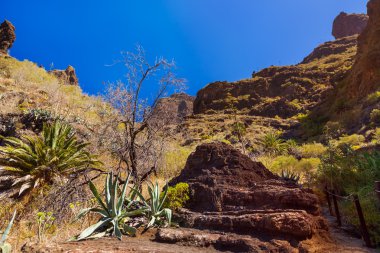 tenerife - Kanarya, ünlü Kanyon masca