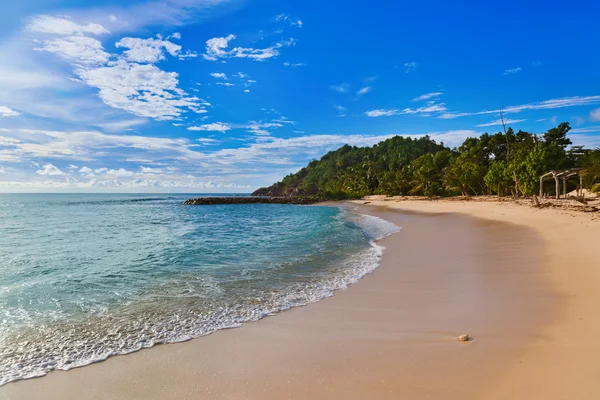 Seychelles playa tropical al atardecer — Foto de Stock