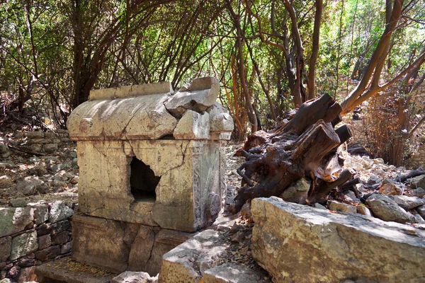 Old tomb at Olympos in Turkey — Stock Photo, Image
