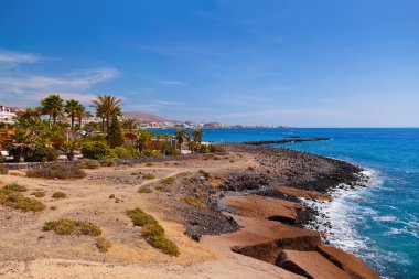 Tenerife adasındaki sahil - Kanarya