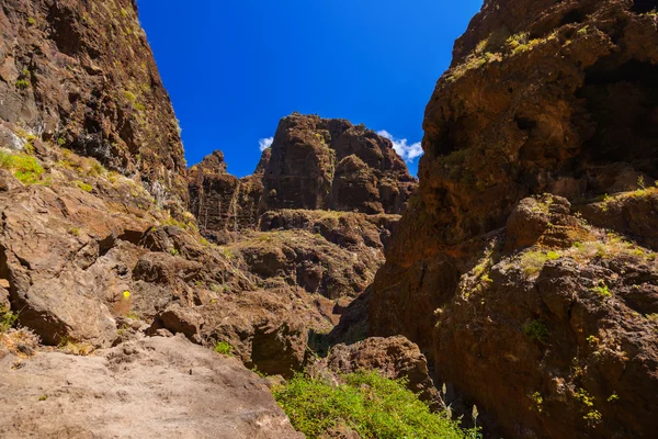 Famous canyon Masca at Tenerife - Canary — Stock Photo, Image