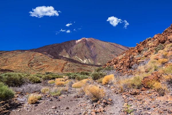 Tenerife adasında - Kanarya teide yanardağı — Stok fotoğraf