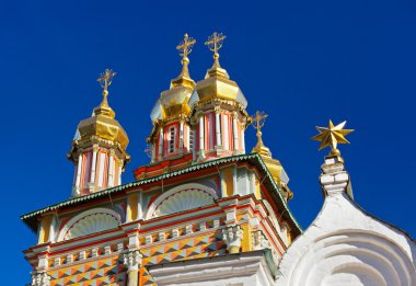 Trinity Sergius Lavra Sergiev Posad - Rusya