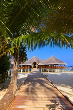 Tropik Maldivler ada Cafe