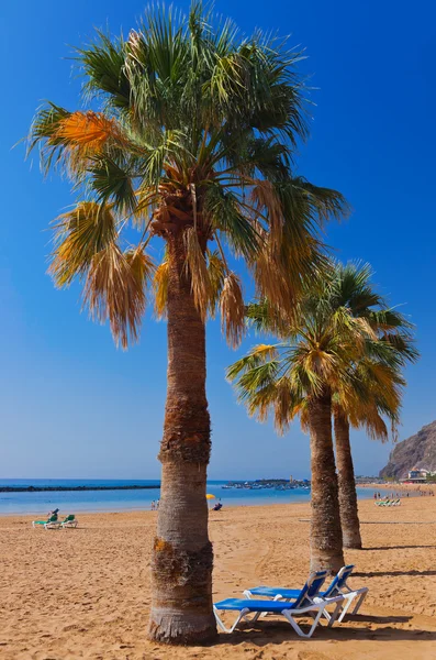 Playa Teresitas en Tenerife - Islas Canarias — Foto de Stock