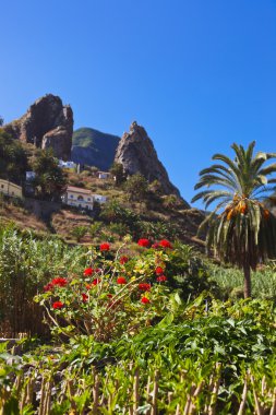la gomera Island - Kanarya Hermigua Vadisi