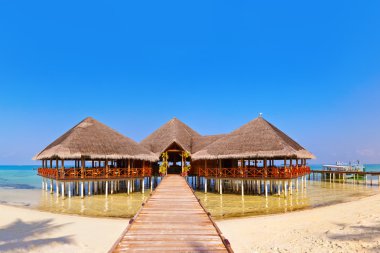 Tropik Maldivler Adası