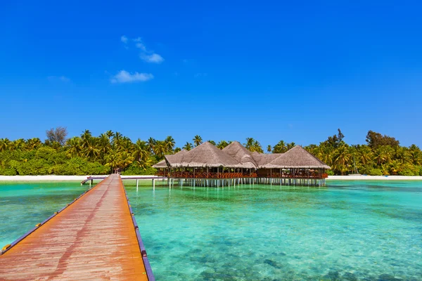 Café en la isla tropical de Maldivas — Foto de Stock