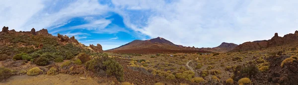 Tenerife adasında - Kanarya teide yanardağı — Stok fotoğraf