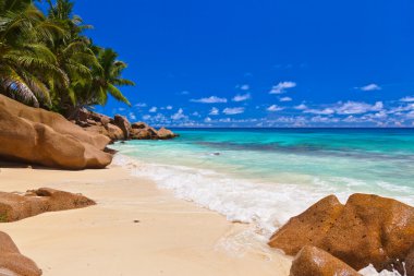 Seyşel Adaları, tropik sahil