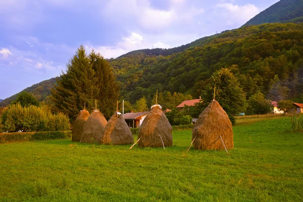 Hay in stapels - dorp in Servië — Stockfoto