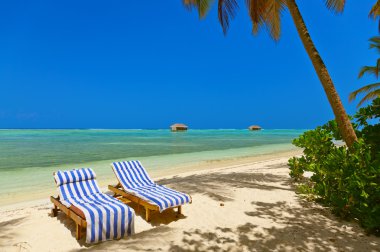 Maldivler plajda şezlong