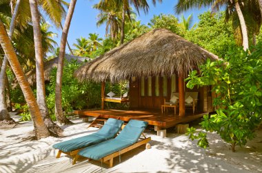 Beach bungalow - Maldivler