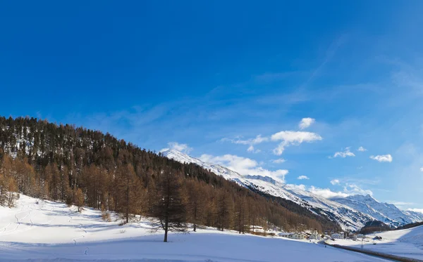 Comprensorio sciistico di montagna Obergurgl Austria — Foto Stock