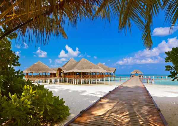 Café sur l'île tropicale des Maldives — Photo