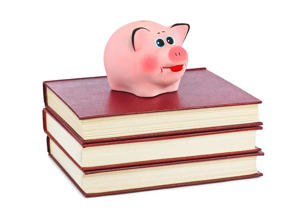 Piggy bank en boeken — Stockfoto