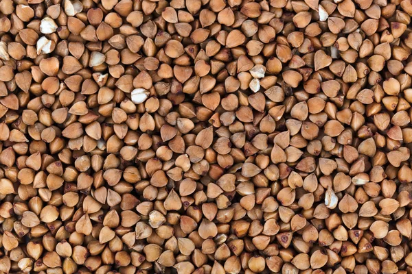 Buckwheat texture - food — Stock Photo, Image