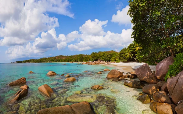 Stranden anse lazio - Seychellerna — Stockfoto