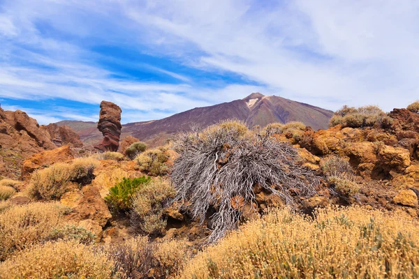 Finger Of God roche au volcan Teide dans l'île de Tenerife - Canaries — Photo