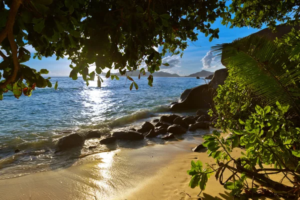 Naplemente, a strand forrás d'argent a Seychelle-szigetek — Stock Fotó