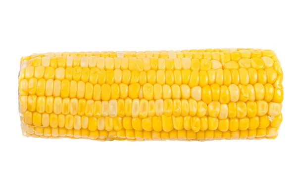 Ear of corn isolated on a white background — Stock Photo, Image