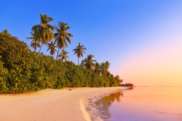 Ηλιοβασίλεμα στην παραλία Μαλδίβες — Φωτογραφία Αρχείου