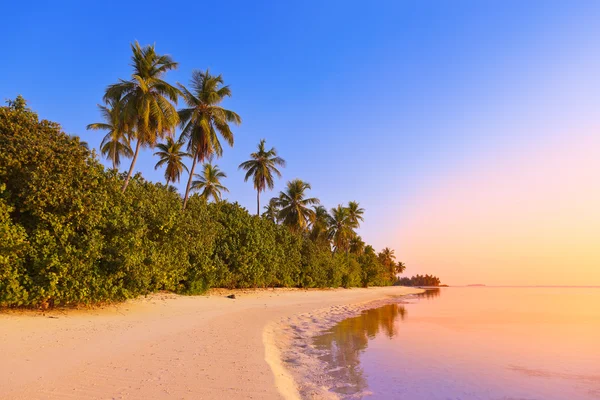 Günbatımı Maldivler Beach — Stok fotoğraf