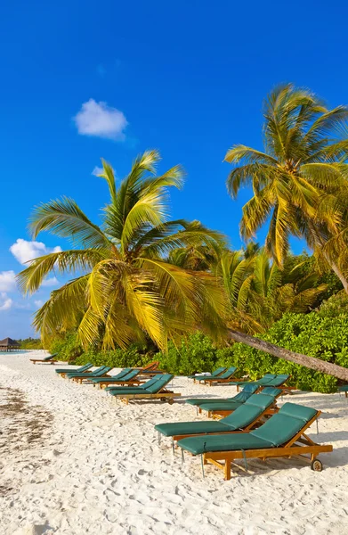 Sonnenliege am Strand der Malediven — Stockfoto