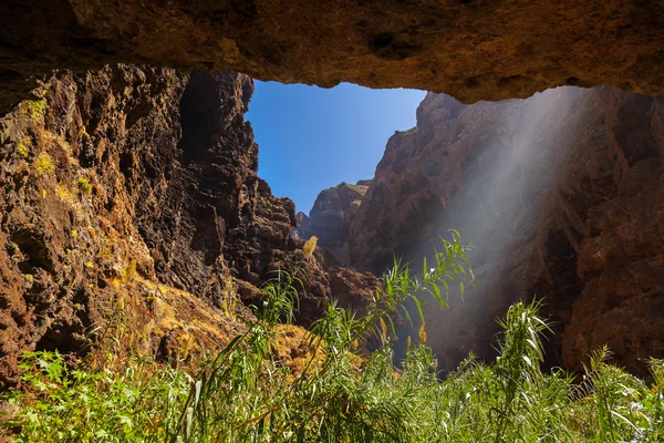 Famoso cañón Masca en Tenerife - Canarias — Foto de Stock