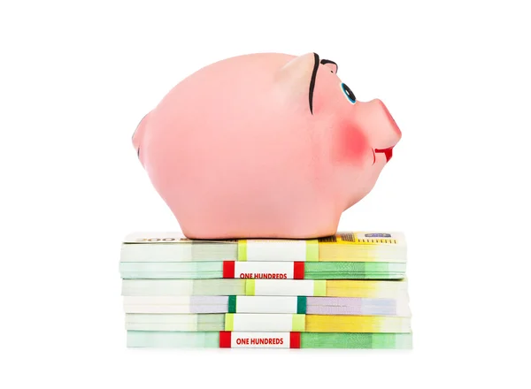 Piggy bank and money — Stock Photo, Image