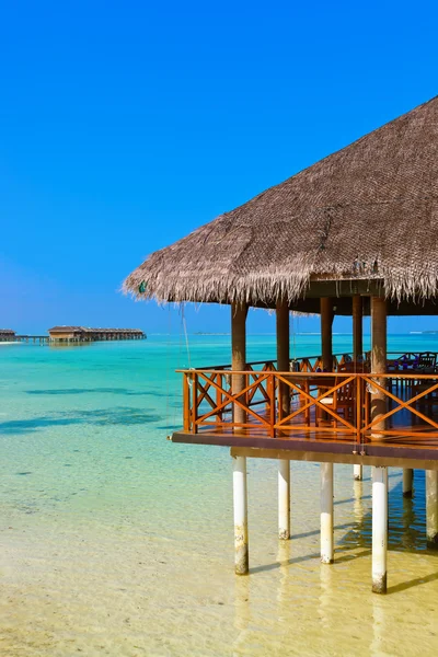 Caffè sull'isola tropicale delle Maldive — Foto Stock