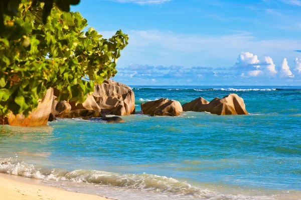 Praia tropical Fonte D 'Argent em Seychelles — Fotografia de Stock