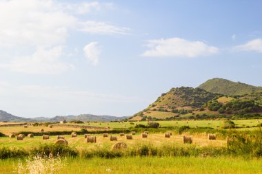 Menorca ada peyzaj tarım arazileri ve yeşil Hills