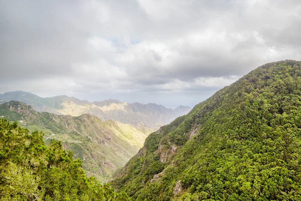 Parque natural nacional de Anaga na ilha de Tenerife, Espanha . — Fotografia de Stock