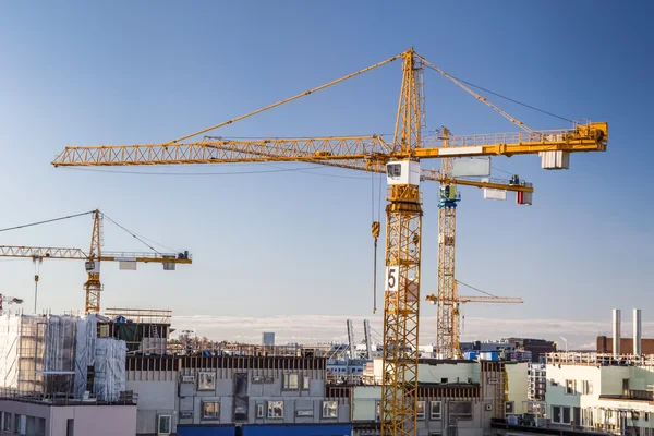 Site de construction avec grues à tour contre ciel clair . — Photo