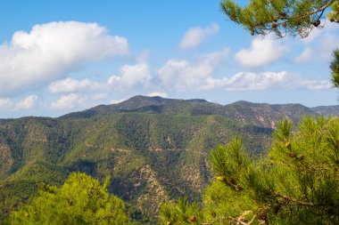 Troodos Dağları manzara, Kıbrıs.