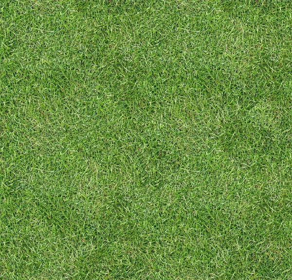 Seamless square green grass texture. — Stock Photo, Image