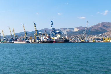Kargo vinç Port