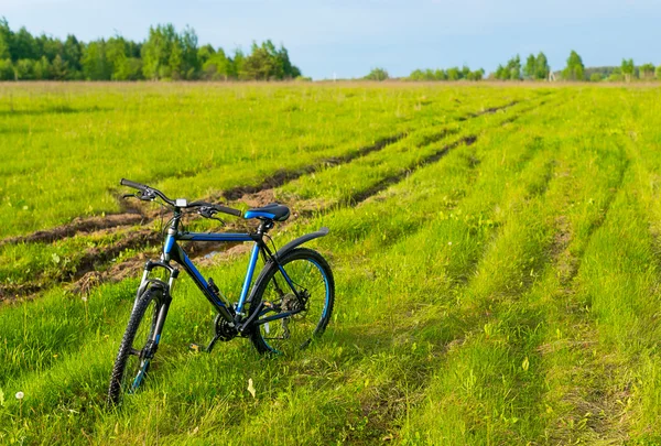 De kosten van de fiets in een gras — Stockfoto