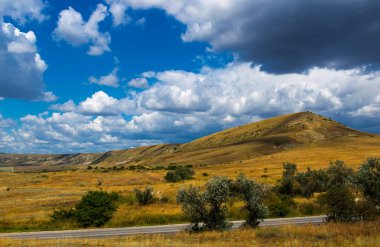 Doğu Kırım 'da ağaçlarla kaplı bir tepenin manzarası